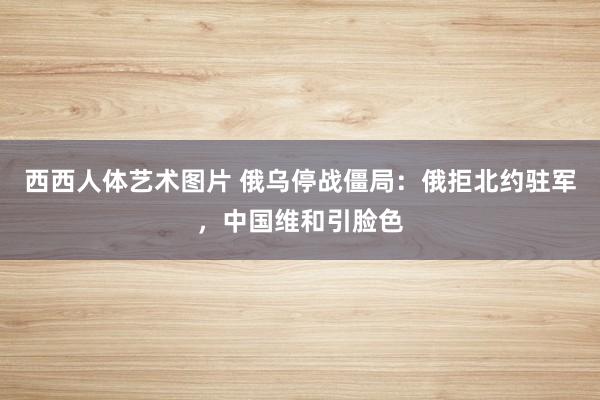 西西人体艺术图片 俄乌停战僵局：俄拒北约驻军，中国维和引脸色