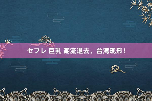 セフレ 巨乳 潮流退去，台湾现形！