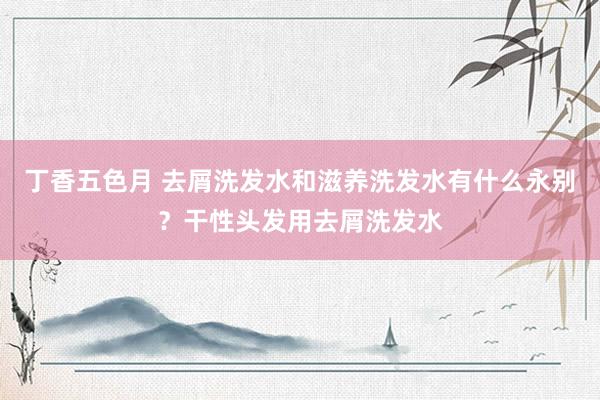 丁香五色月 去屑洗发水和滋养洗发水有什么永别？干性头发用去屑洗发水