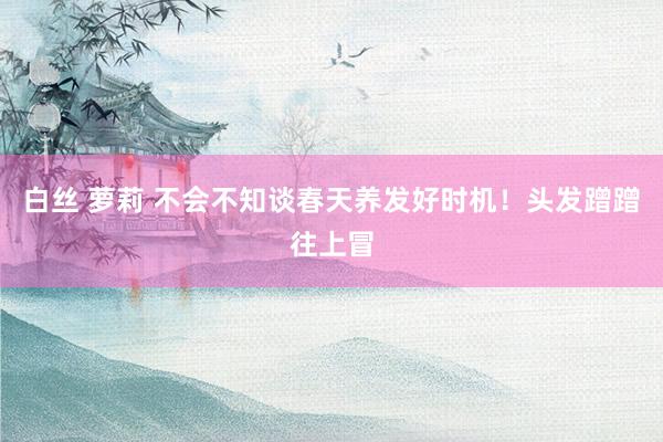 白丝 萝莉 不会不知谈春天养发好时机！头发蹭蹭往上冒