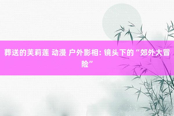 葬送的芙莉莲 动漫 户外影相: 镜头下的“郊外大冒险”
