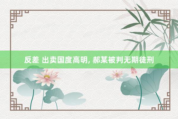 反差 出卖国度高明, 郝某被判无期徒刑