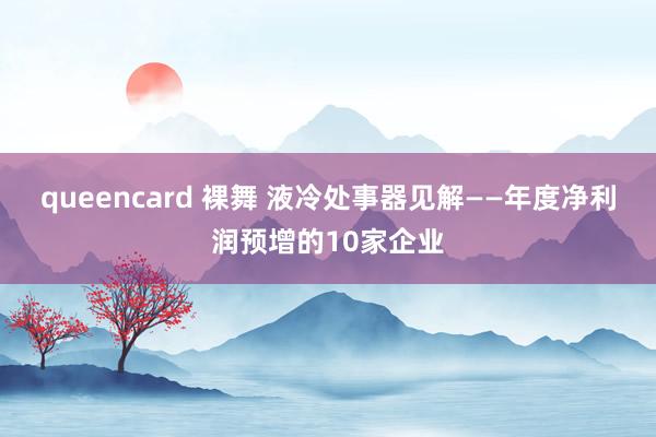 queencard 裸舞 液冷处事器见解——年度净利润预增的10家企业