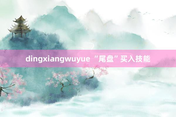dingxiangwuyue “尾盘”买入技能