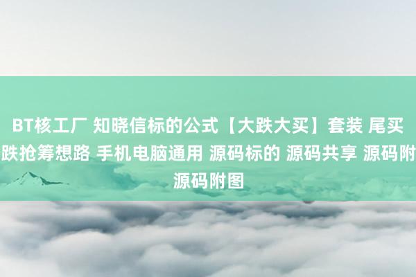 BT核工厂 知晓信标的公式【大跌大买】套装 尾买大跌抢筹想路 手机电脑通用 源码标的 源码共享 源码附图